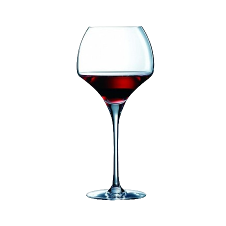 VERRE A PIED TANNIC 55CL