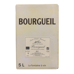 AOP BOURGUEIL ROUGE DOMAINE LAME DELISLE BOUCARD BIB 5L