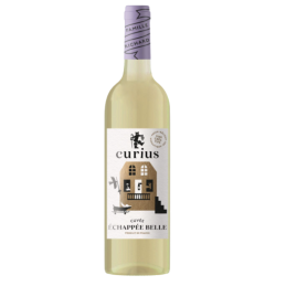 VIN DE FRANCE CURIUS BLANC SEC ECHAPPEE BELLE