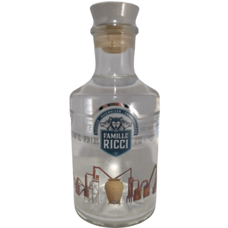RICCI Divergence N°3