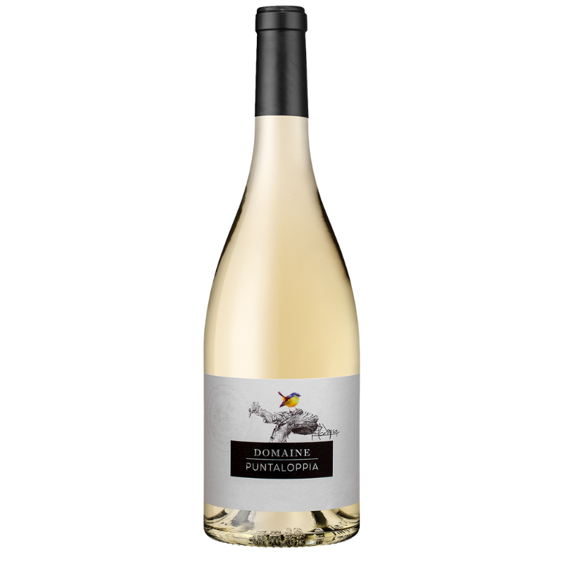 IGP ILE DE BEAUTE BLANC DOMAINE PUNTALOPPIA IGP ILE DE BEAUTE BLANC DOMAINE PUNTALOPPIA