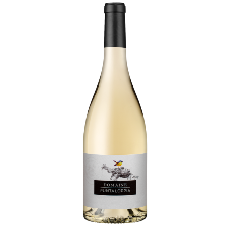 IGP ILE DE BEAUTE BLANC DOMAINE PUNTALOPPIA