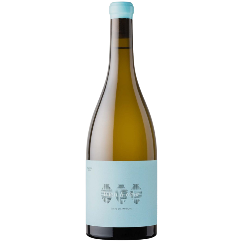 IGP PAYS D'OC RIEN à CIRER CHENIN IGP PAYS D'OC RIEN à CIRER CHENIN