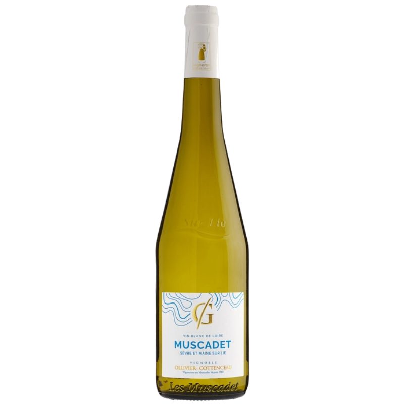 AOP MUSCADET GRENAUDIERE VIEILLES VIGNES 2023 AOP MUSCADET GRENAUDIERE VIEILLES VIGNES 2023