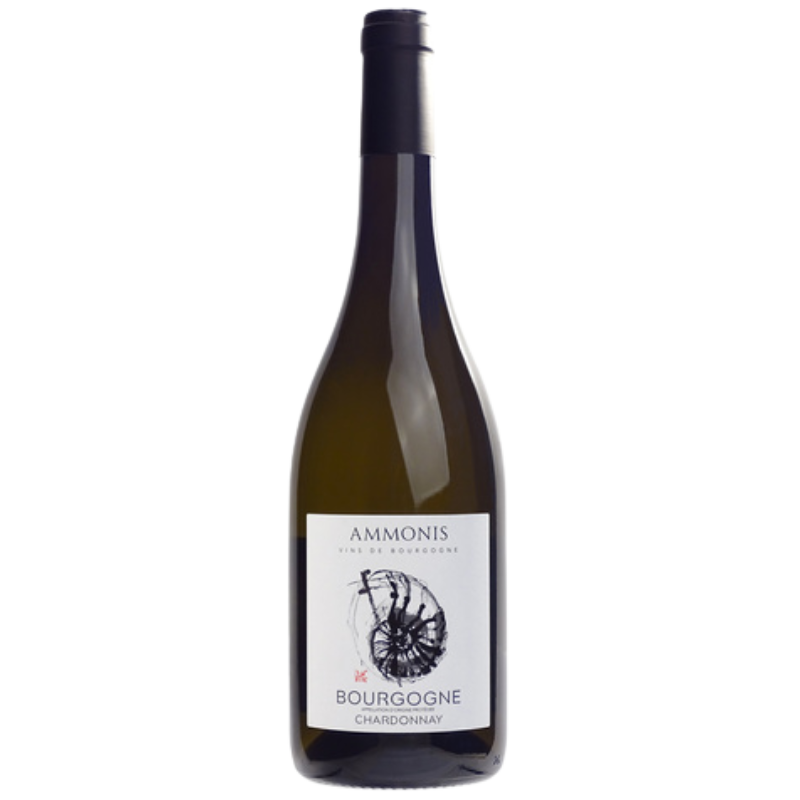 AOP BOURGOGNE CHARDONNAY AMMONIS