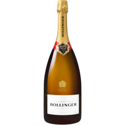 MAGNUM CHAMPAGNE BOLLINGER SPECIAL CUVEE SANS ETUI