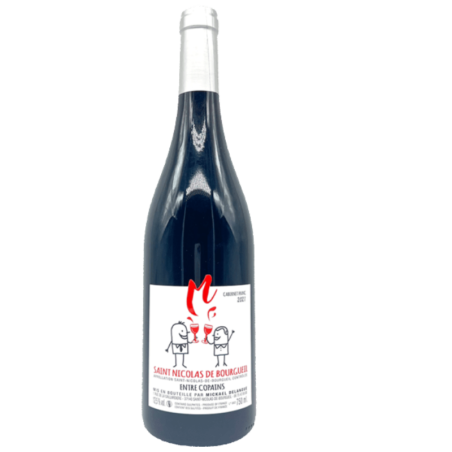 AOP SAINT NICOLAS DE BOURGUEIL ROUGE DOMAINE DE LA NOUE ENTRE COPAIN