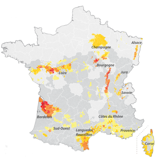 IGP / Vins de France