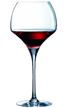 VERRE A PIED TANNIC 55CL