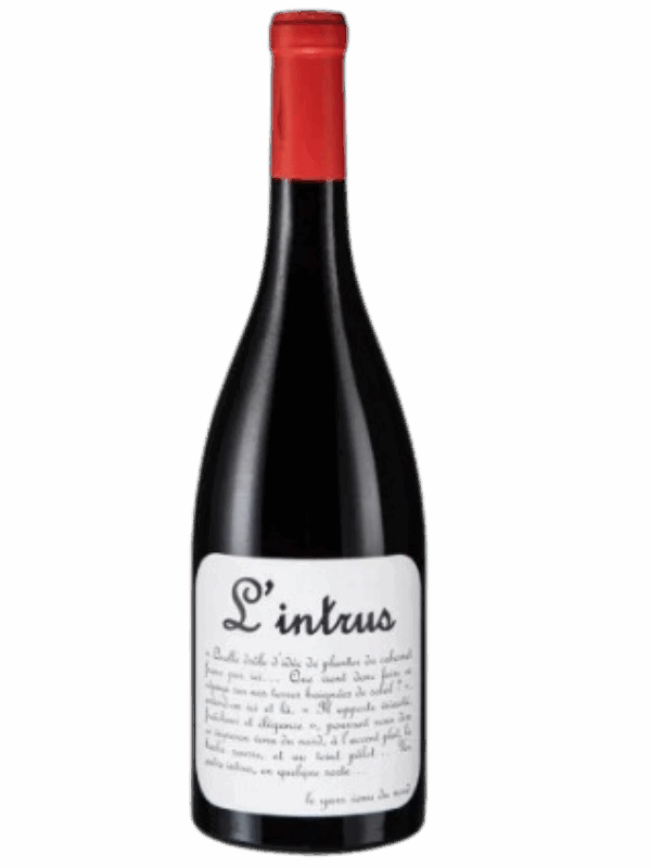 VIN DE FRANCE MAISON VENTENAC L'INTRUS CABERNET FRANC BIO