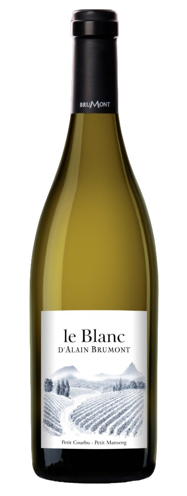 AOP PACHERENC DE VIC BILH SEC ALAIN BRUMONT