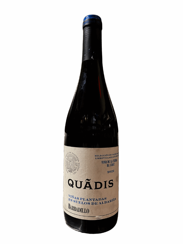 VIN ESPAGNE QUADIS VINO DE LA TIERRA DE CADIZ BARBADILLO 2022