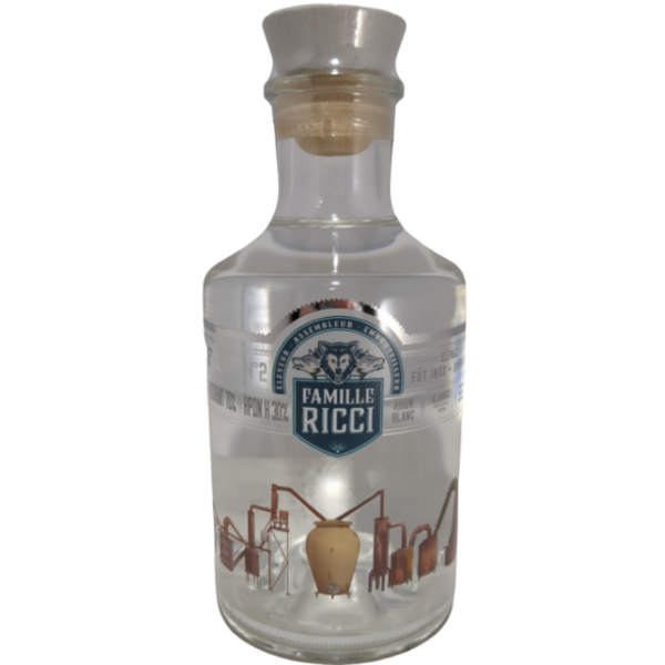 RICCI Divergence N°3