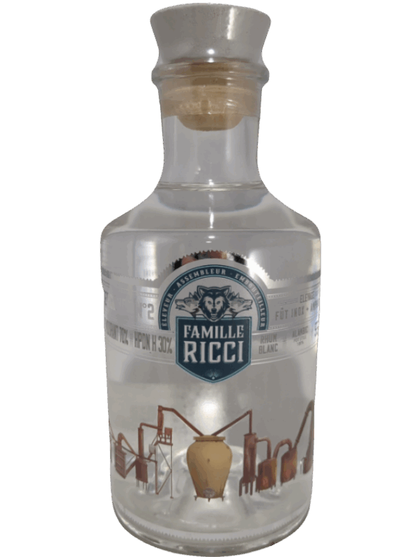 RICCI Divergence N°3