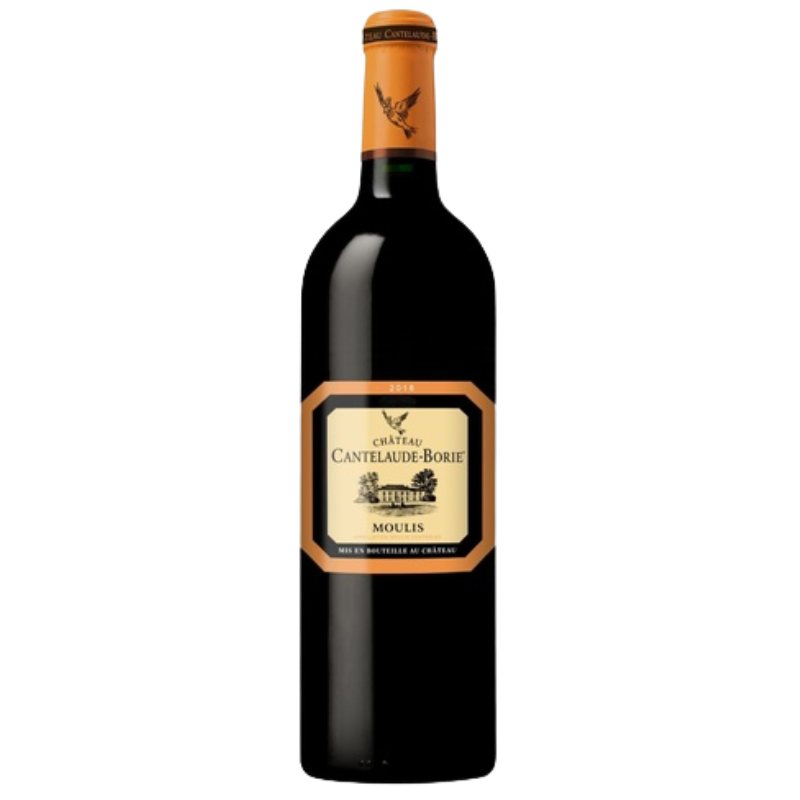AOP MOULIS CHATEAU DE CANTELAUDE BORIE