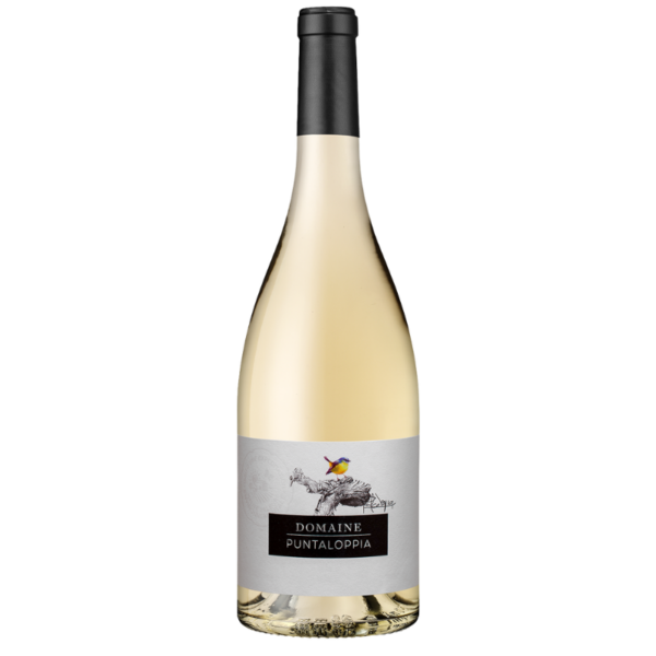 IGP ILE DE BEAUTE BLANC DOMAINE PUNTALOPPIA