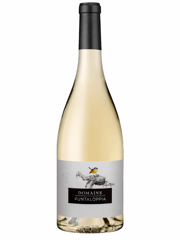 IGP ILE DE BEAUTE BLANC DOMAINE PUNTALOPPIA