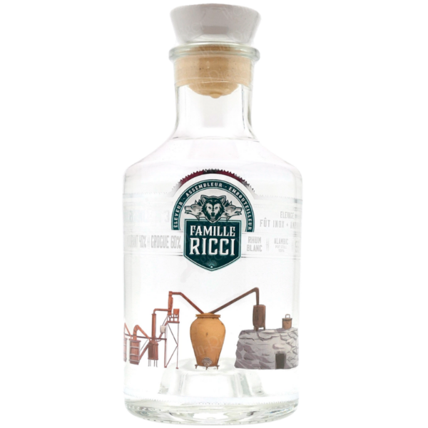 RICCI Divergence N°3