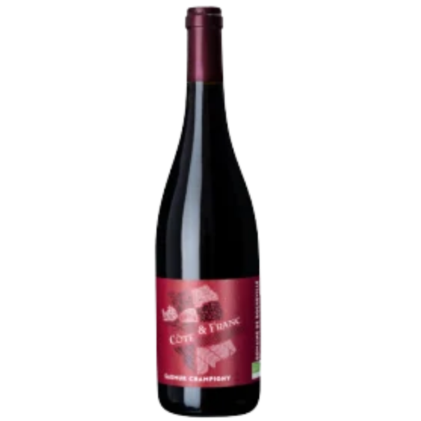 AOP SAUMUR CHAMPIGNY COTE & FRANC ROCHEVILLE BIO