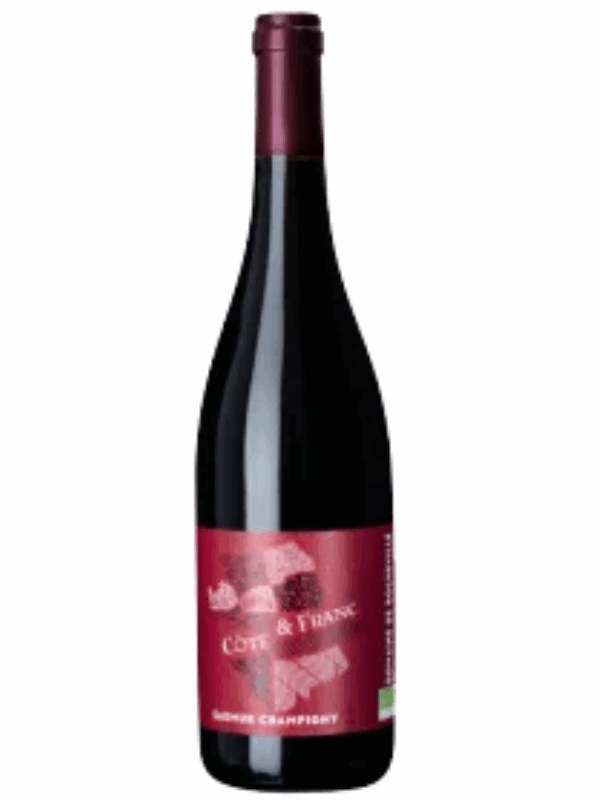 AOP SAUMUR CHAMPIGNY COTE & FRANC ROCHEVILLE BIO
