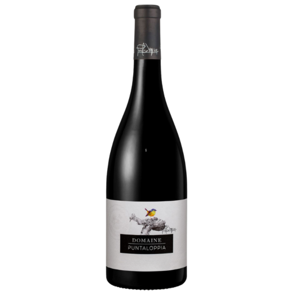 IGP ÎLE DE BEAUTÉ ROUGE – PUNTALOPPIA