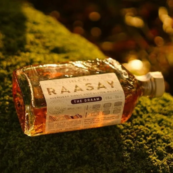 ISLE OF RAASAY - THE DRAAM - 46°