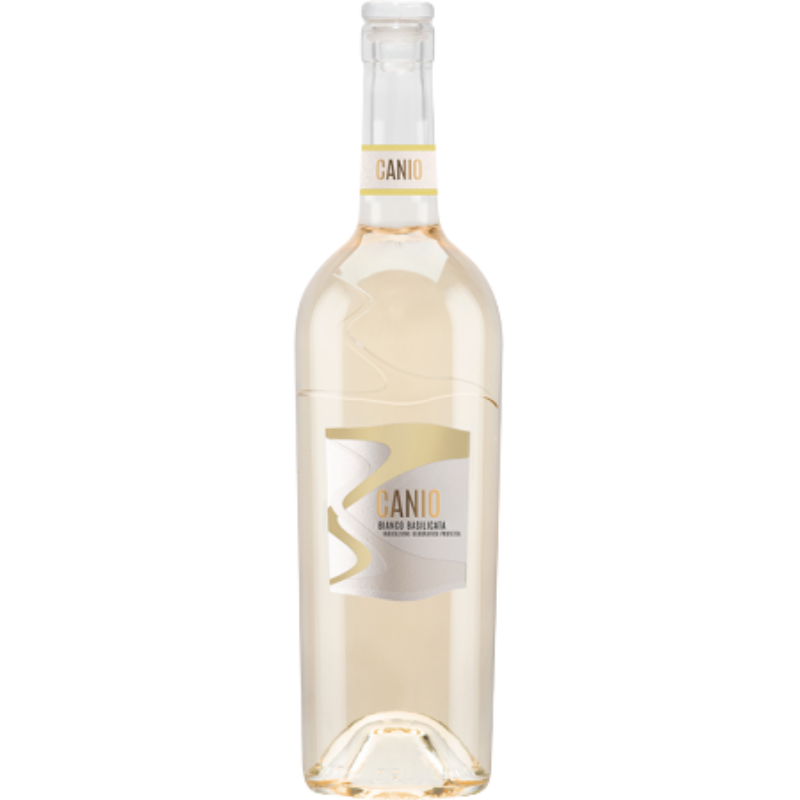 IGP BASILICATA - CANIO - BIANCO 2024
