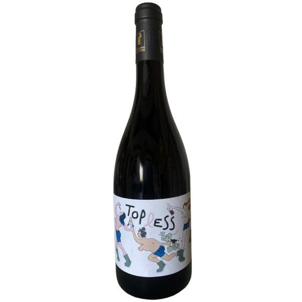 VIN DE FRANCE - CORINNE DEPEYRE - SYRAH TOPLESS