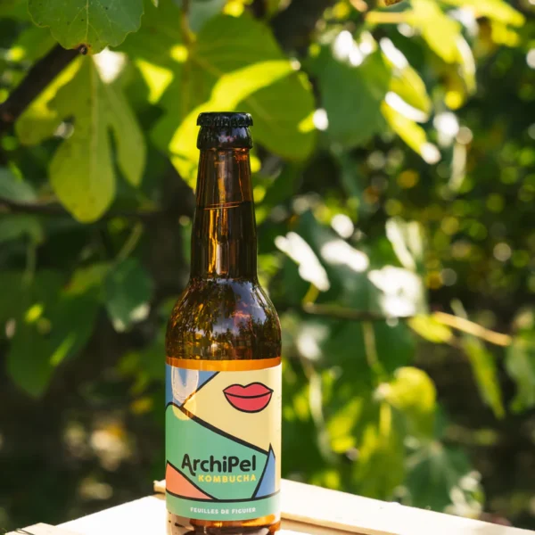 KOMBUCHA - ARCHIPEL - FEUILLES DE FIGUIER