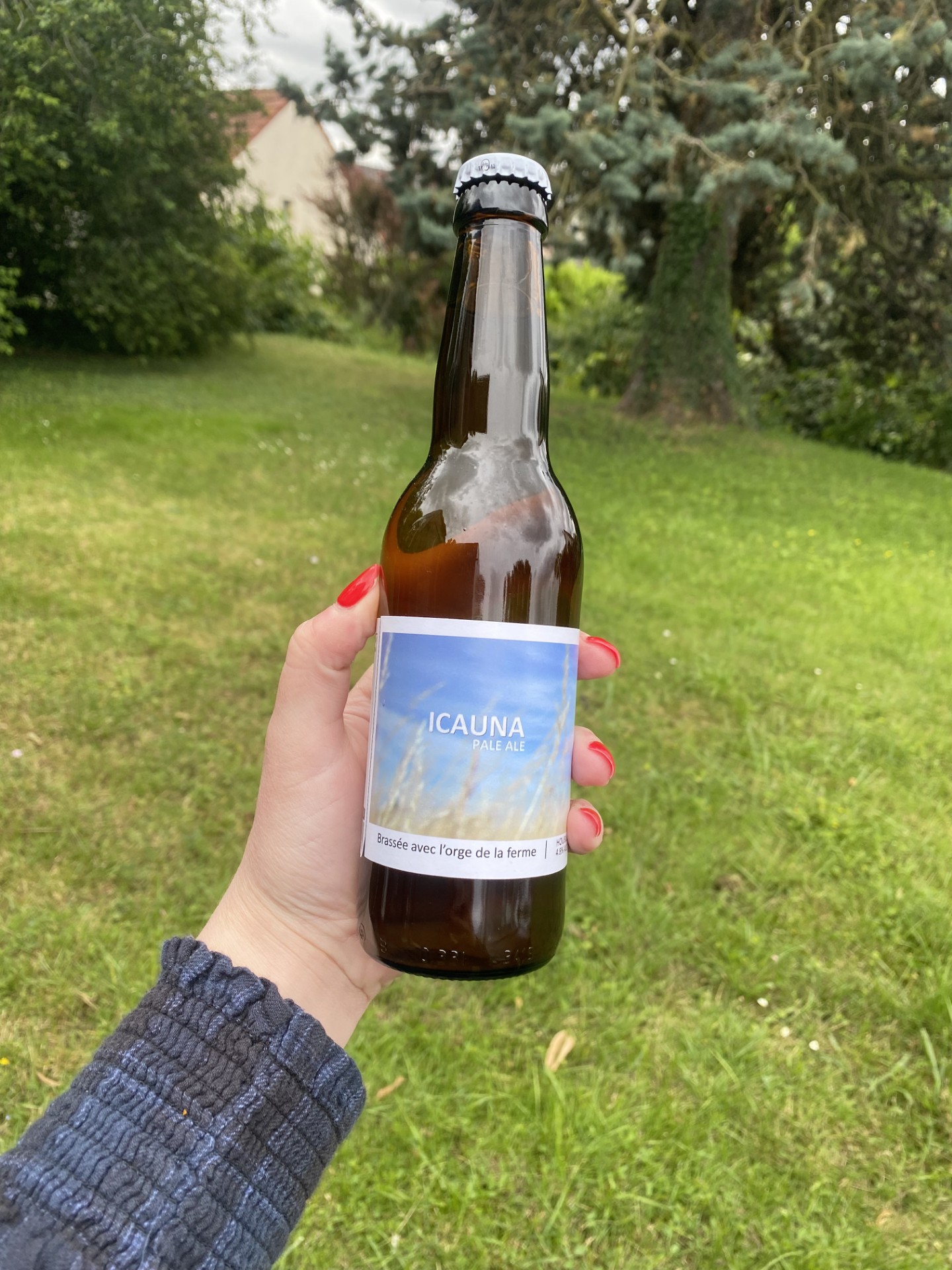 BIERE PALE ALE - POPIHN - ICAUNA
