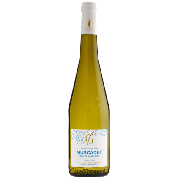 AOP MUSCADET SEVRE ET MAINE - DOMAINE DE LA GRENAUDIERE