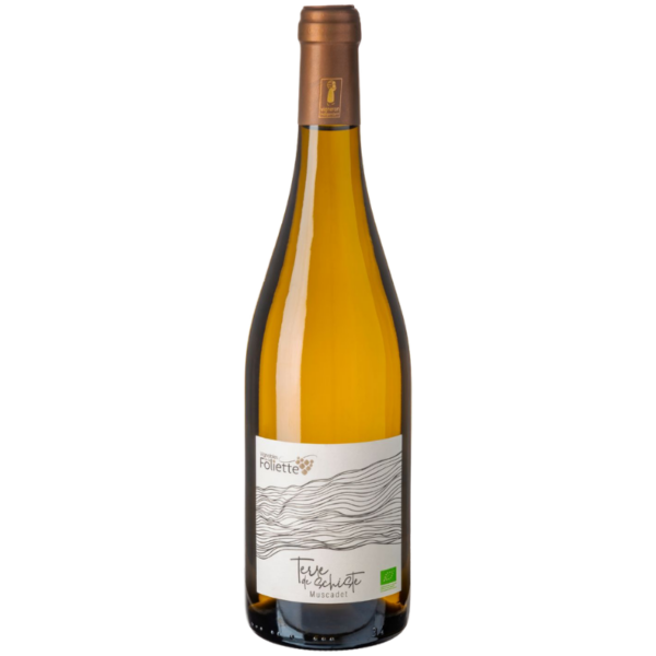 AOP MUSCADET SEVRE & MAINE - DOMAINE DE LA FOLIETTE - TERRE DE SCHISTE